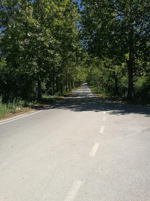 Park Golden Beach Tasevski Lägenhet Ohrid Exteriör bild